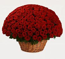 Премиум букет из: Розы в Каринское